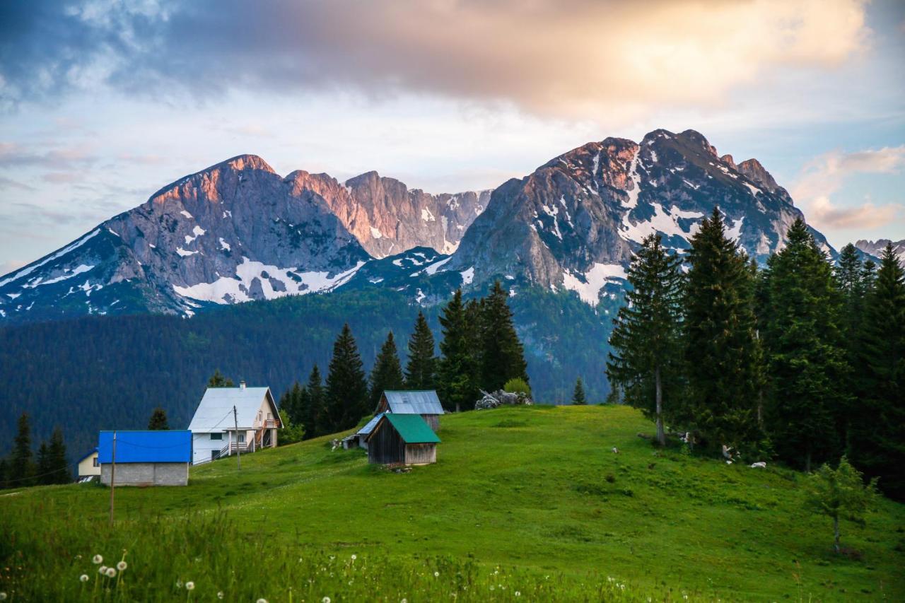 Bungalows Fairy Tale Žabljak Buitenkant foto